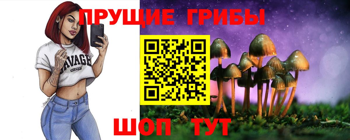 Псилоцибиновые грибы Psilocybine cubensis  Галлюциногенные грибы мухоморы  Электросталь  Вход с VPN 